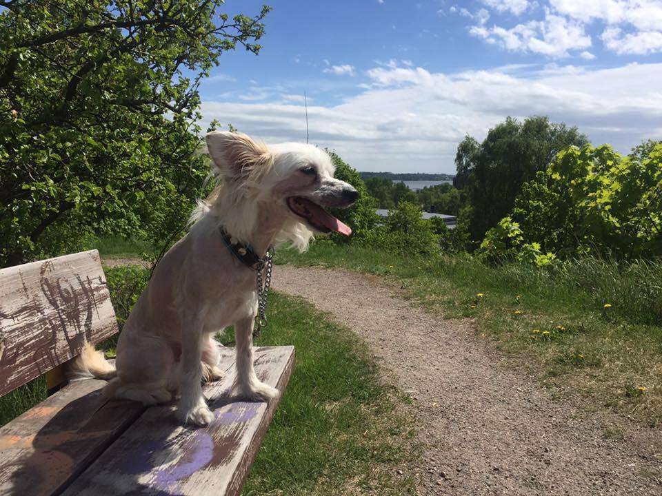 Kaitlin Freezed Vlcak