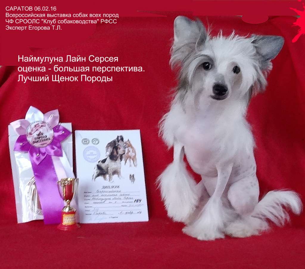 Naimuluna Line Serseja