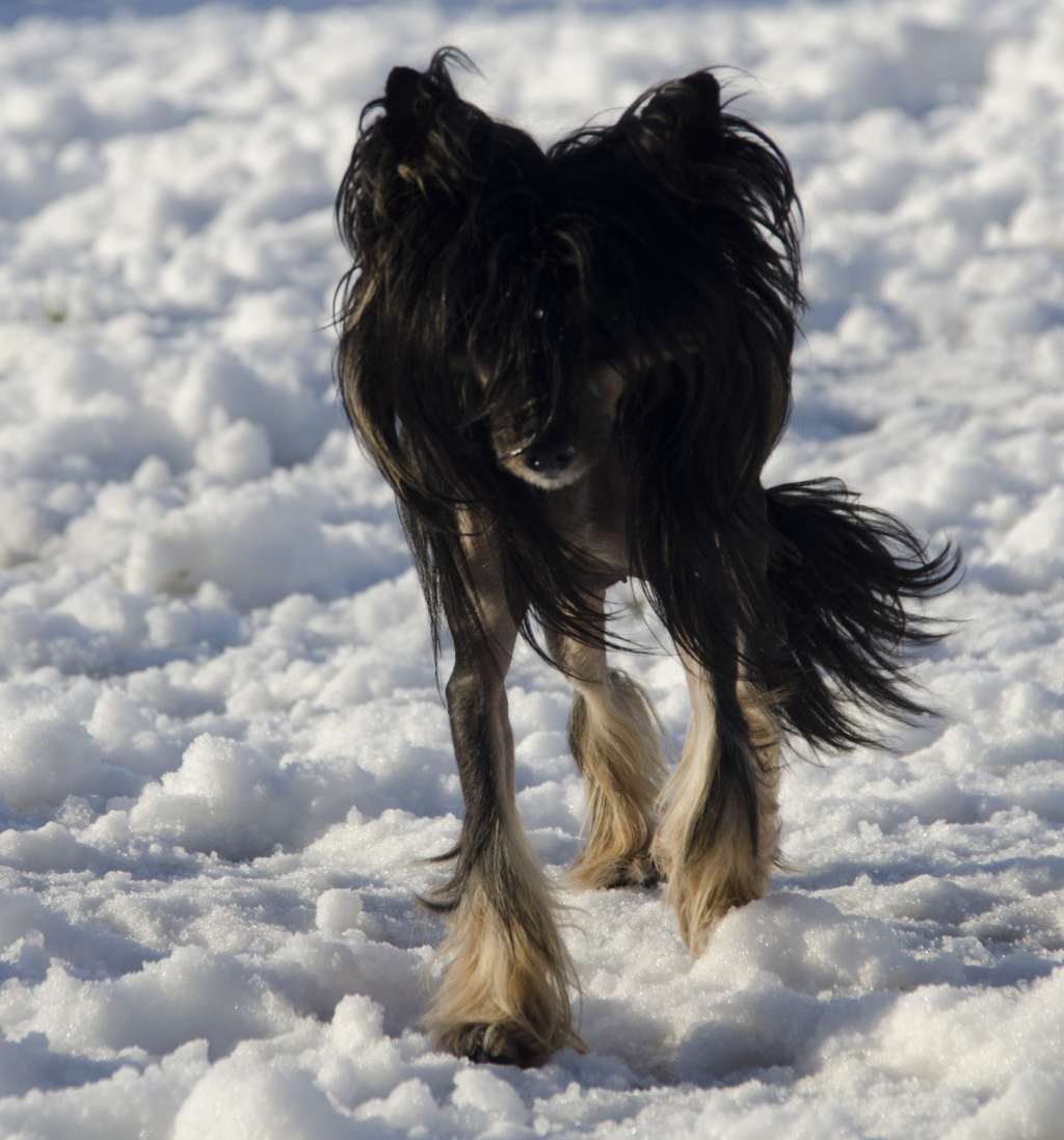 Iwa de l'Antre de Hôkô