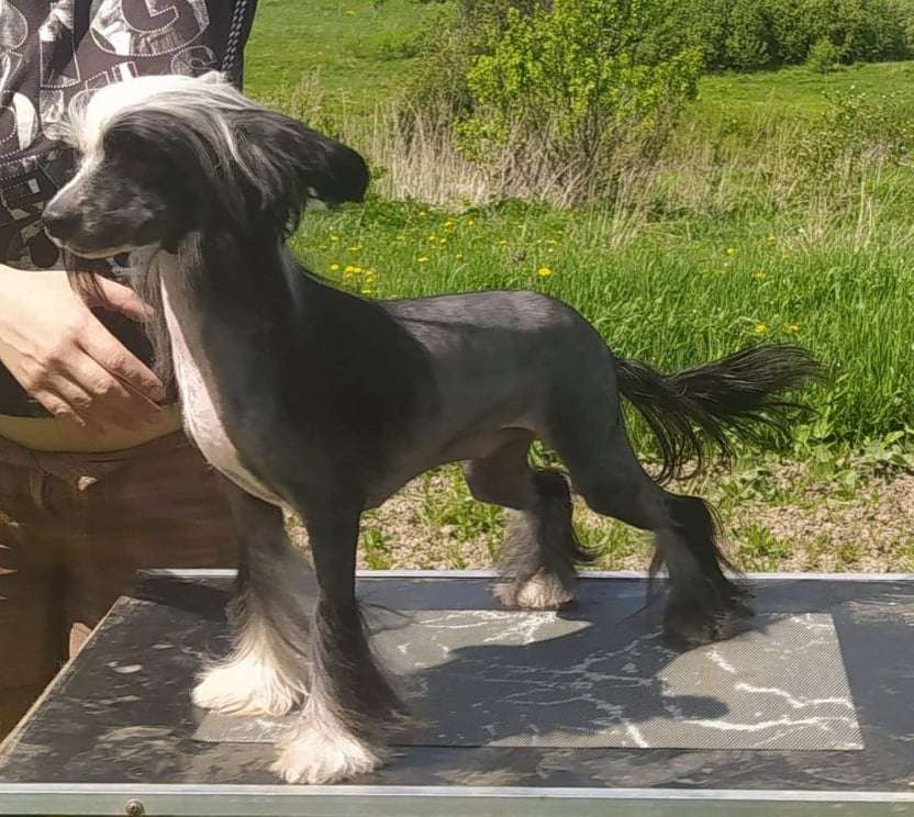 Sol'tanto Nothing  Impossible