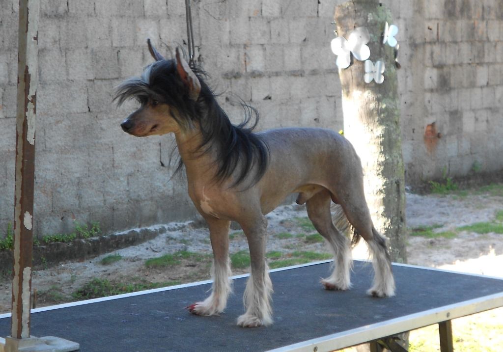 Praia do Sossego Athos Iris Azul