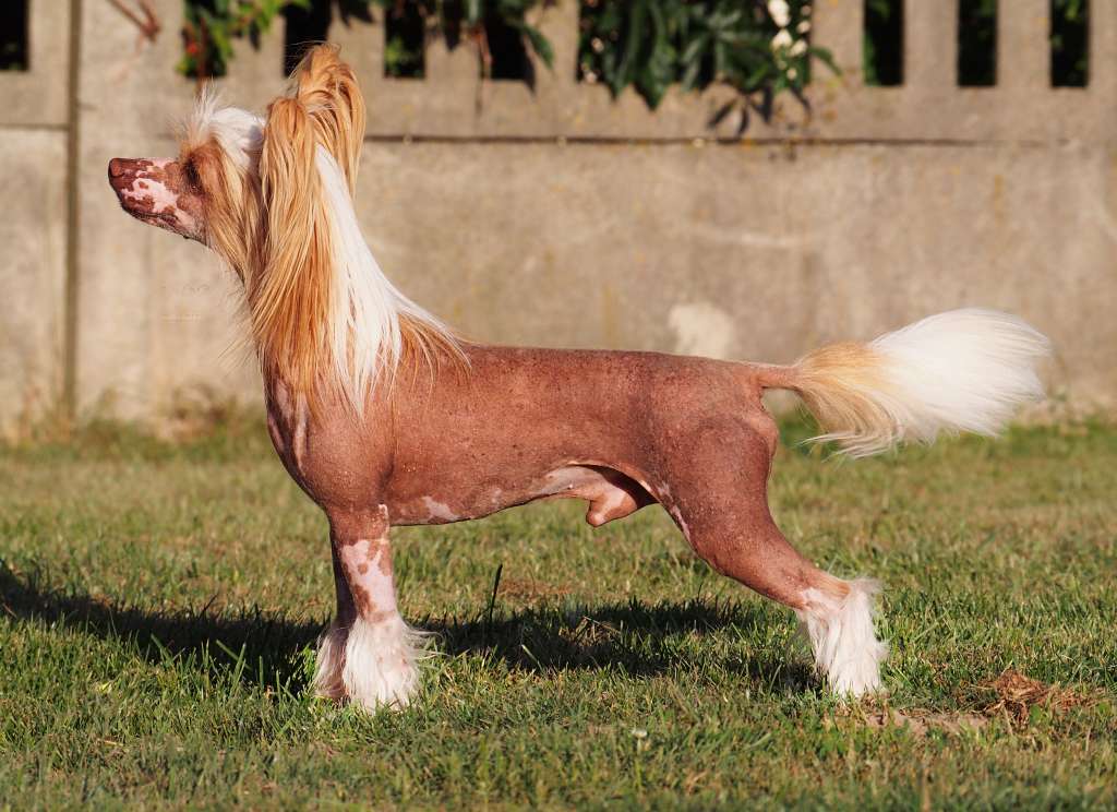 Imperatorskiy Kapriz Okean Lyubvi