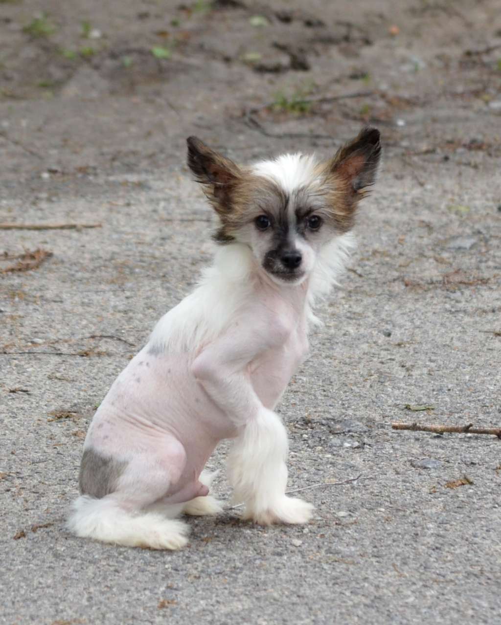 Magic of Success Kyle Walker