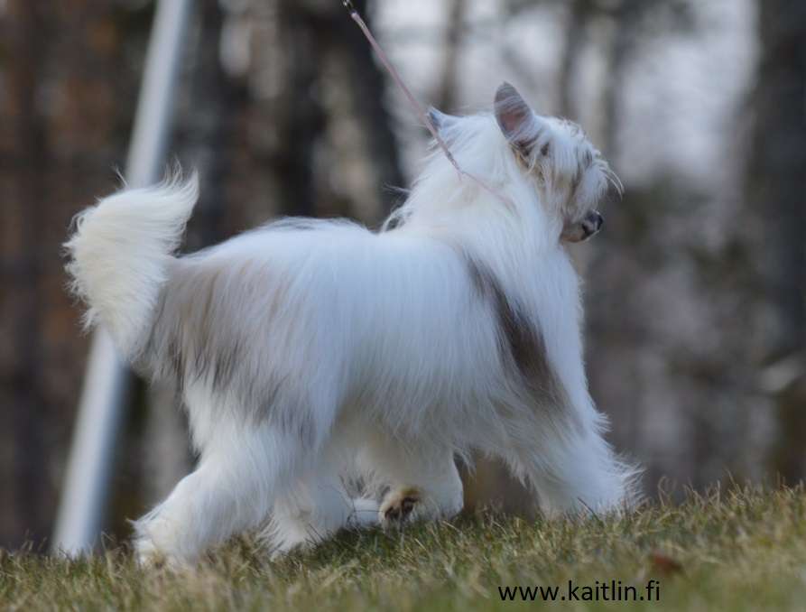 Kaitlin Mr Damn Look At That Body