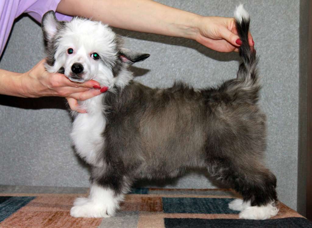 Sempre Con Te Valley Of Joy