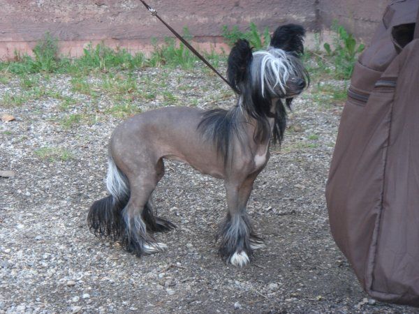 Three Cheers for Sweet 'n' fugly