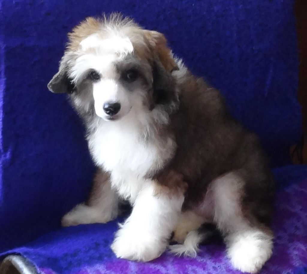 Naimuluna Line Mindal