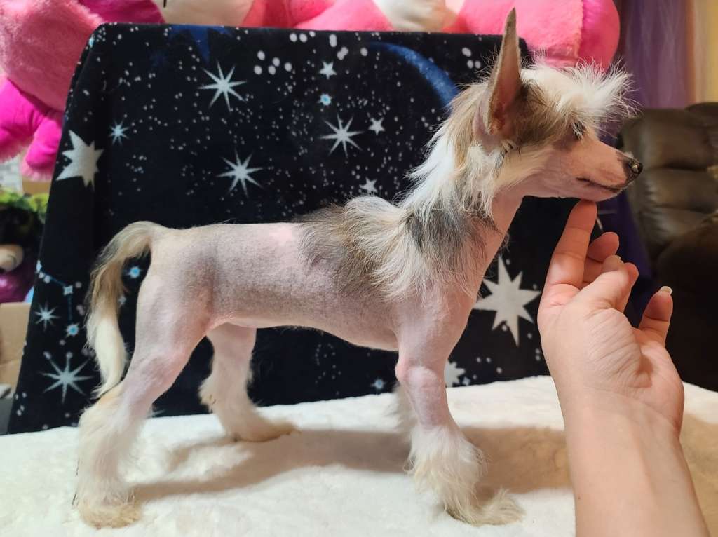 Long Haul's Because, Why, I Don't Know