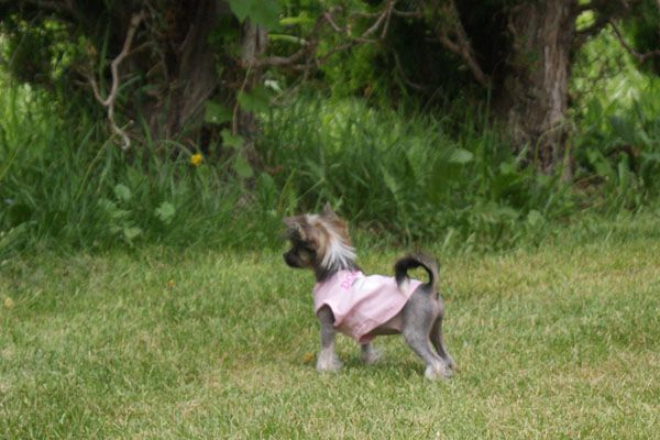 Spiritual Oh Me Oh My