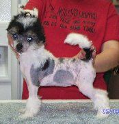 Kalan's Cowgirl's Candy