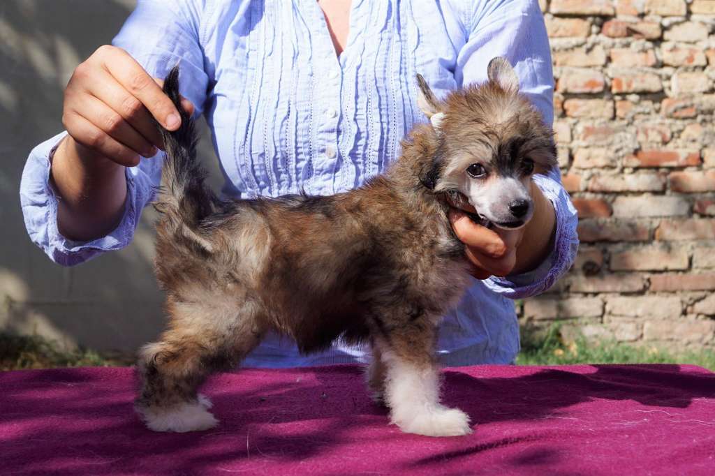 Just Like Fire Heybett