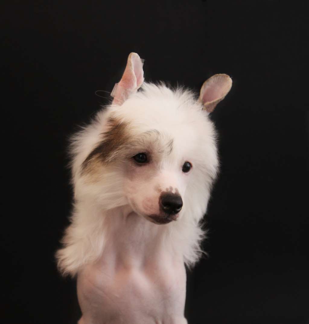 Just What You Want Plysovy pritel