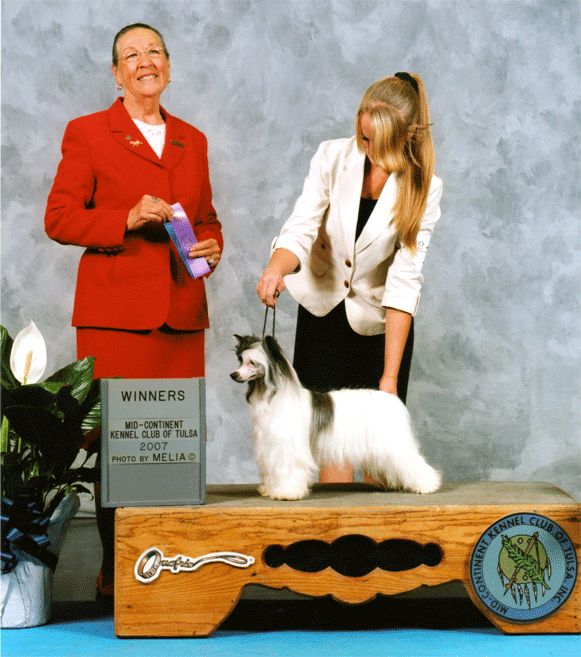 POP Bold'N'Bewitching