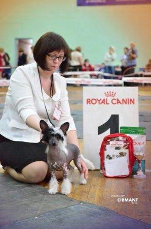 My Vanity Fair It's Dream for Polar Shine...