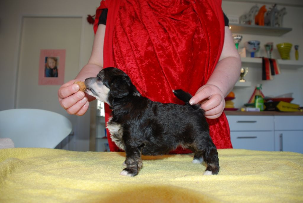 Bonniveras Kiss Me More