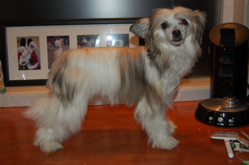 Timegarden Heavenly Hailey