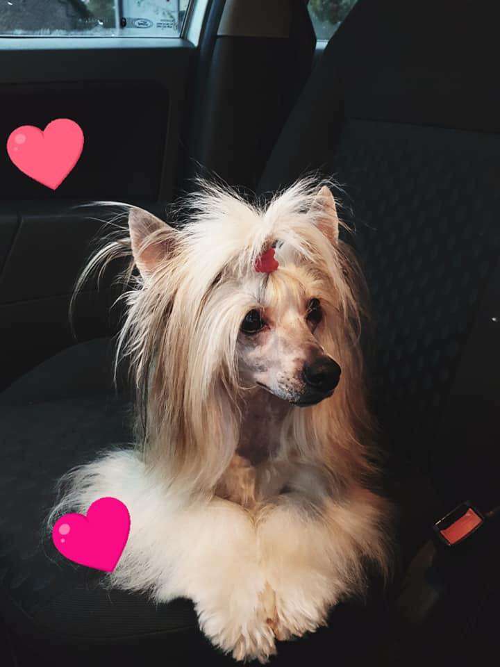 Ch.Il était une fois Oxanna