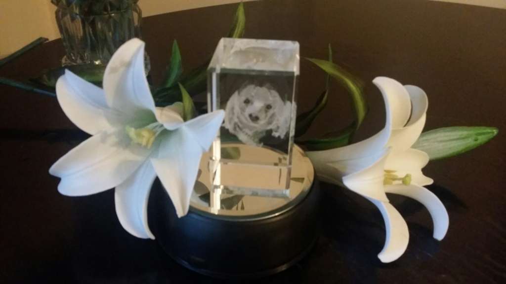 Azad Chu Mingk at Starrstalactite