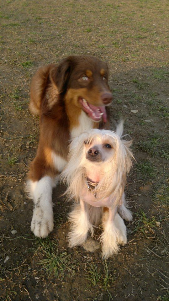 Anahi Makes of Magic