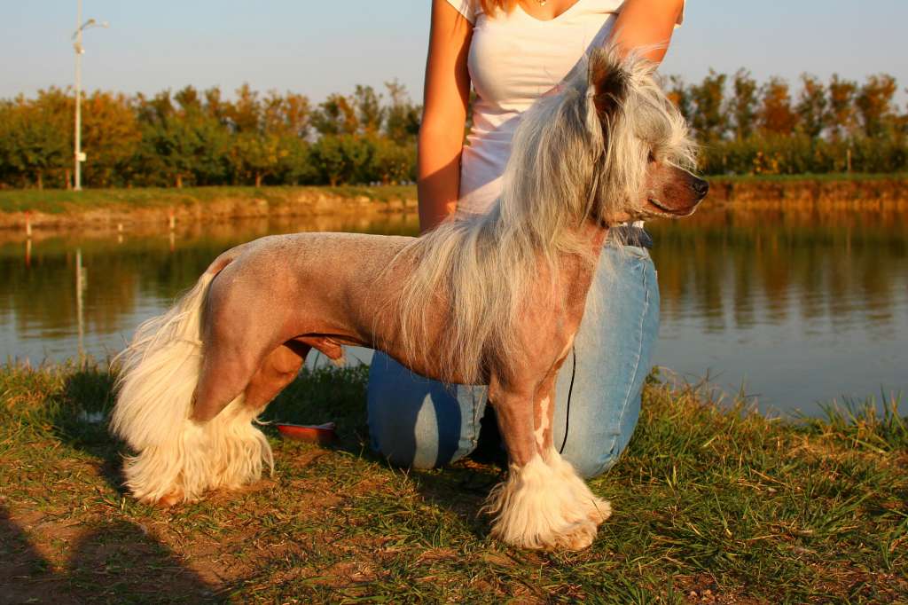 Rasasi Tobacco Gattaca