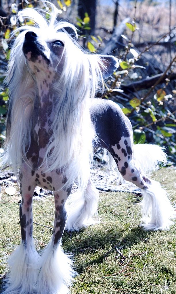 Escada's Toujours L'Amore