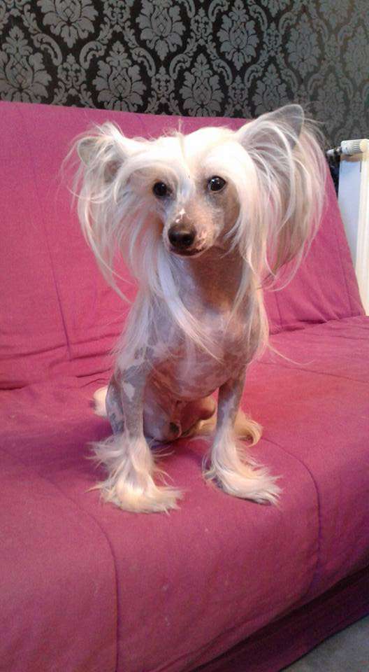 Lord Of The Dance du Coeur des Ténèbres