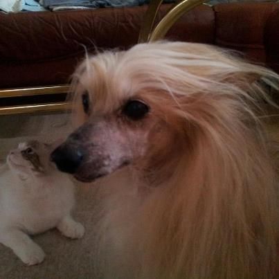 Tournais Endless Education