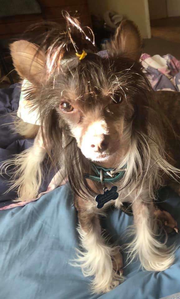 EverCrests Whiskey River