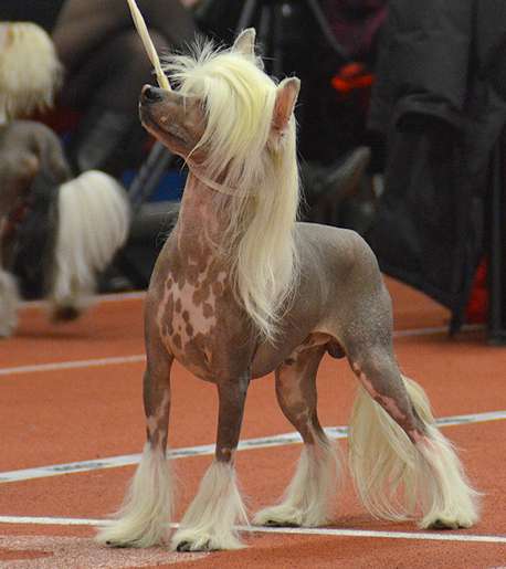 Prefix John F Kennedy