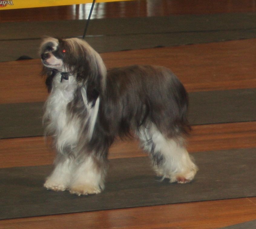 Starside Best Kept Secret for Sandgrown