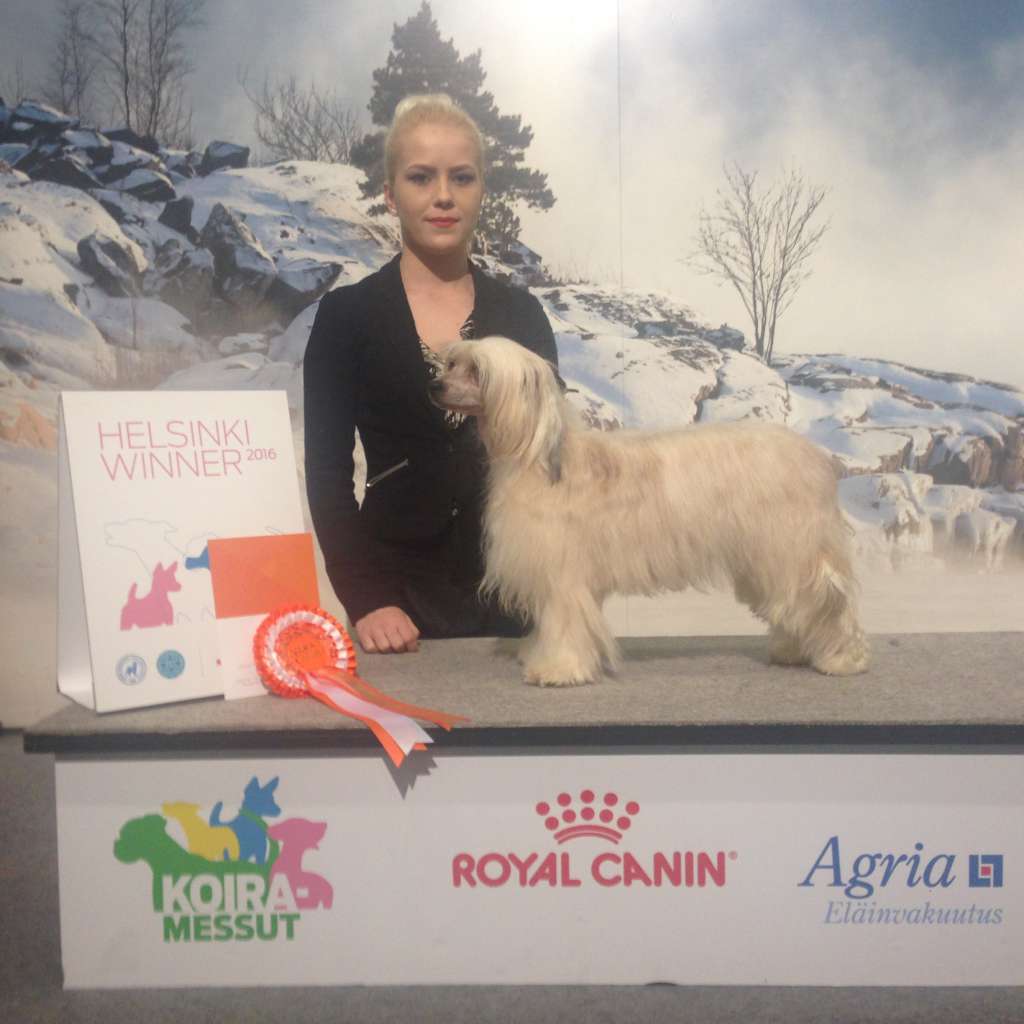 Pideraq's Chinese Surprise