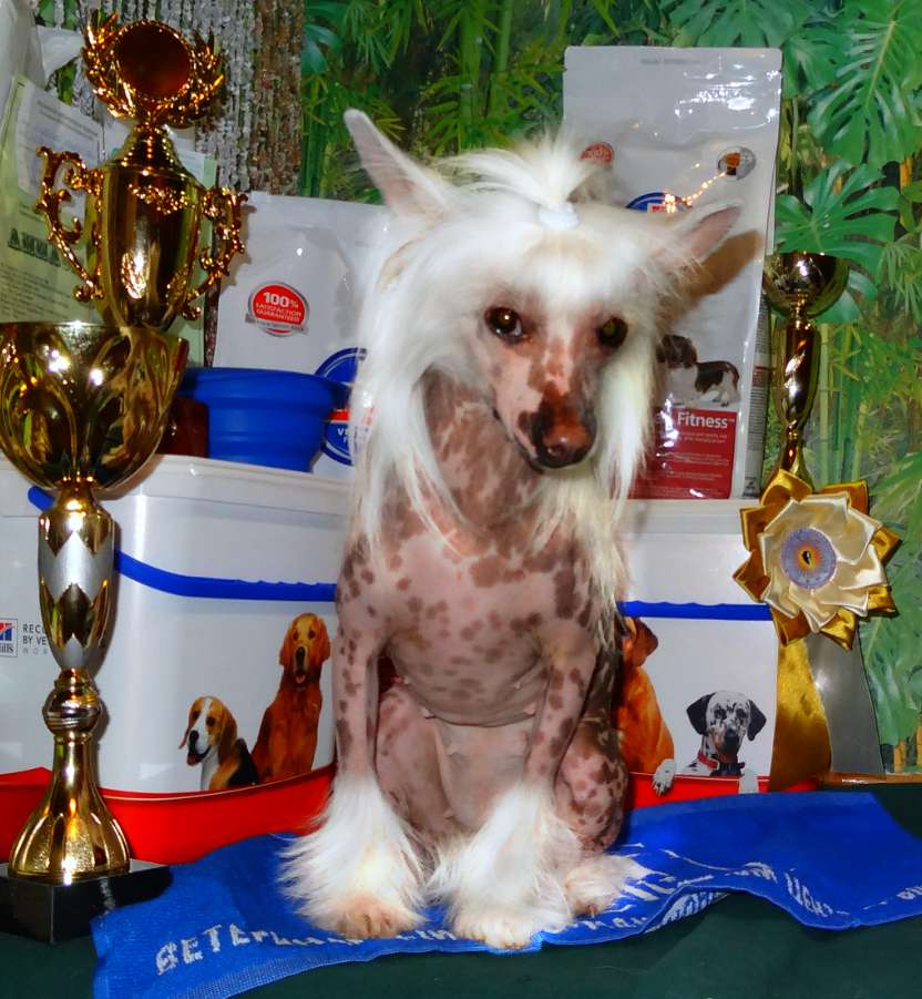 Legion of Dream Octavia Spencer