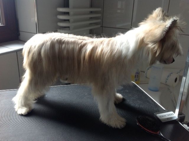 Frendor's I feel good