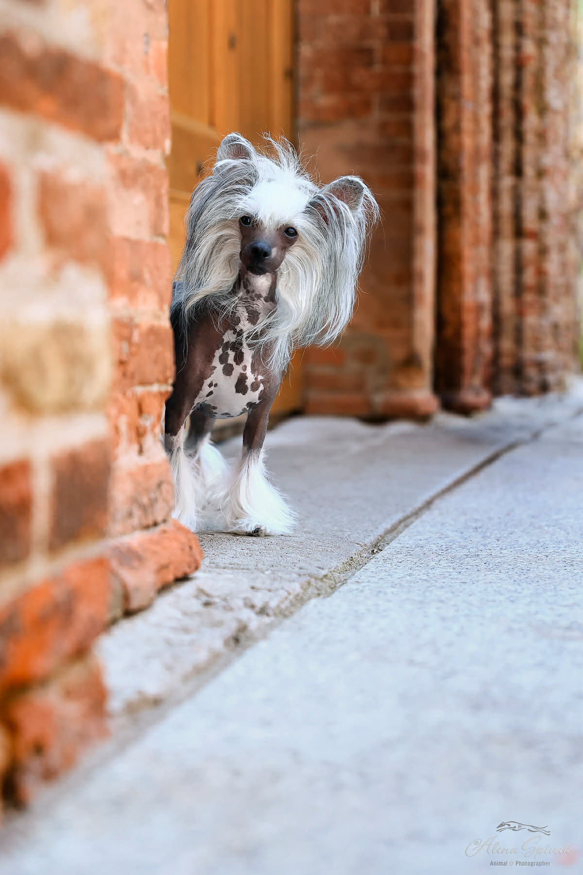 Picture