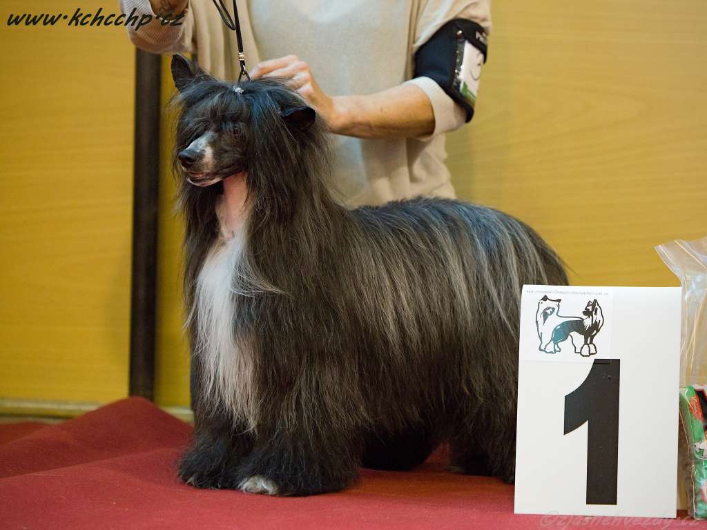 Endy z Valdorfskych lesu