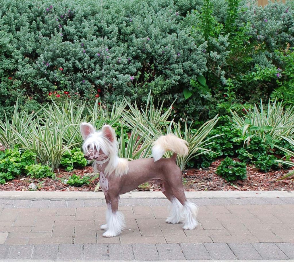 Angel Can't Get Enough Of Your Love