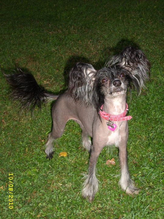 Magic'N Mystic Krystal Moon