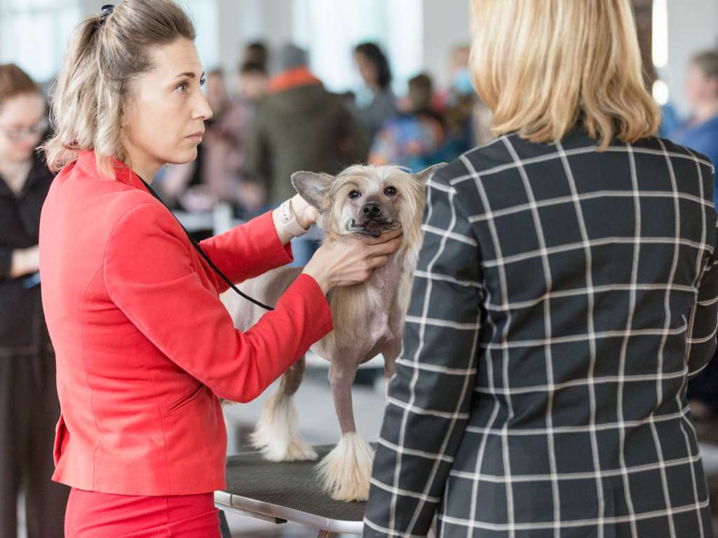 Oniks s Ostrova Utrenney Zari