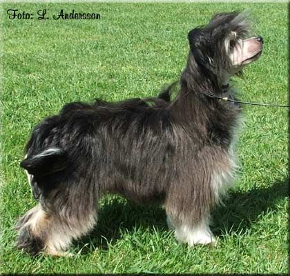 Marachinos Hidden Beauty