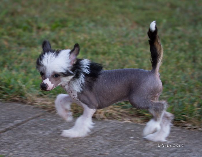 OhSo Amazing at Sunberry