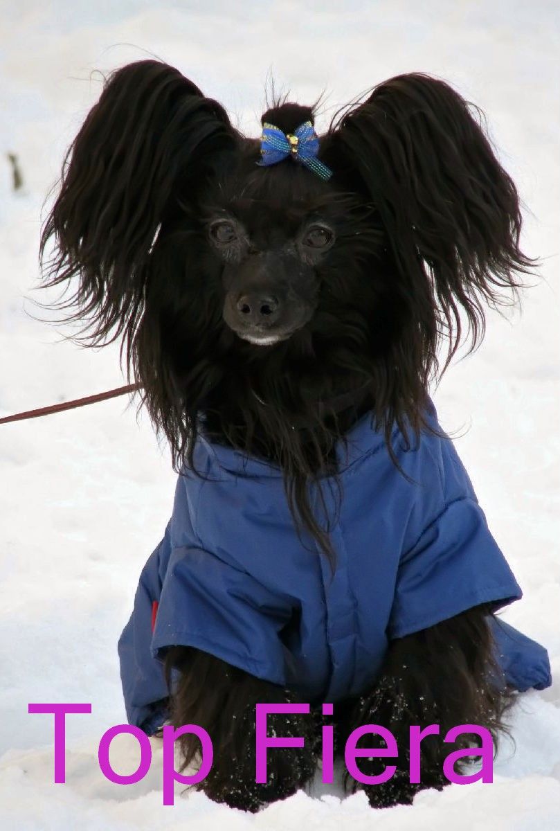 Elfgrace Olana De Marsh