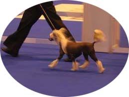 Eternity Du Domaine De Cha Su Bao