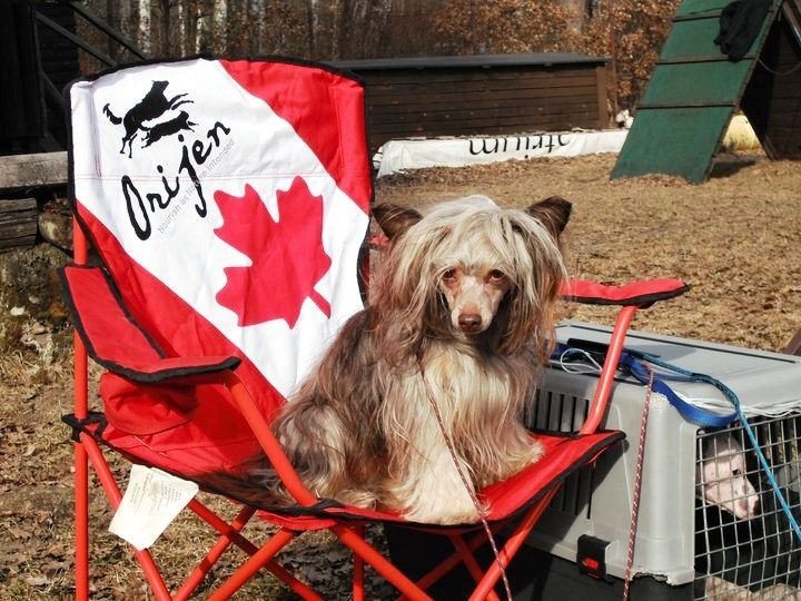 Apollo Mi L'espoir Ali-Alibi