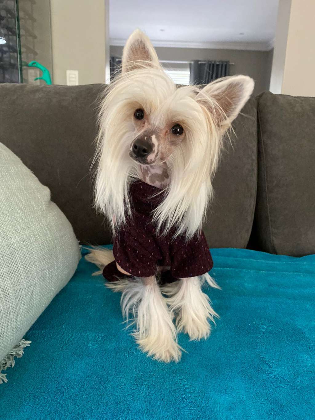 Krescendo Head over Heels