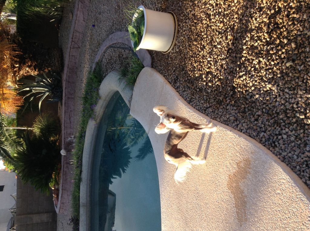 Nina's K Find Your Greatness