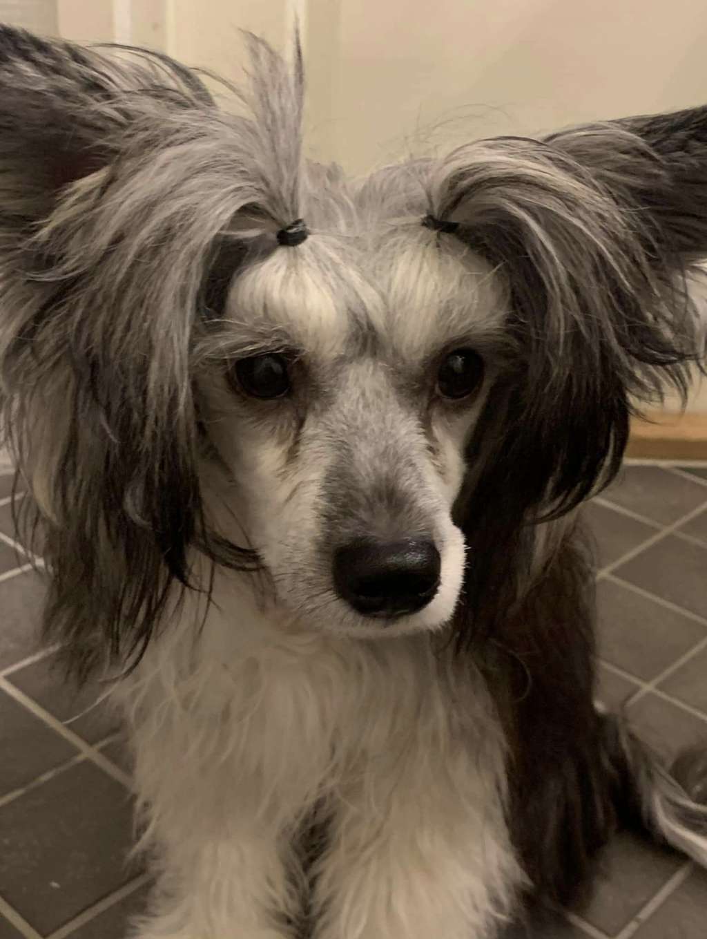 Viavrois Dancing Doll