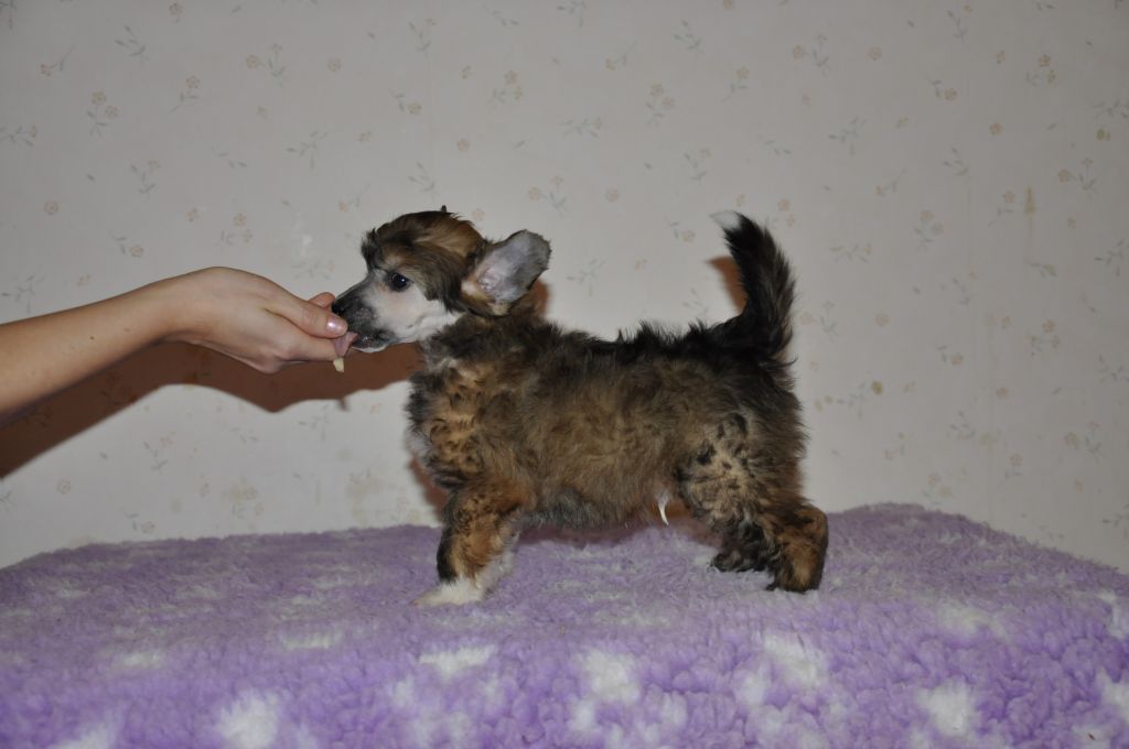 Pinky Twinky Piece Of A Puzzle