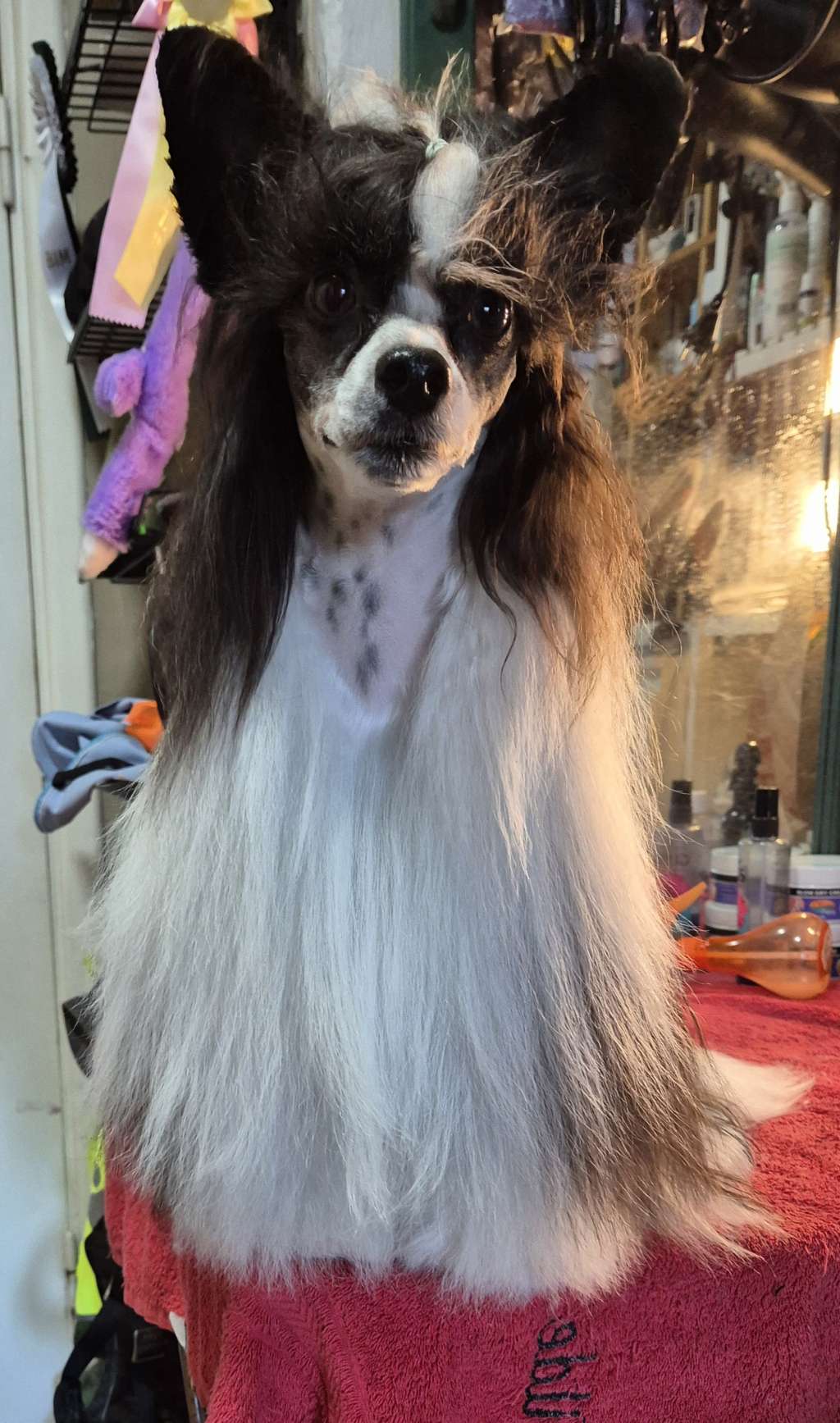 Merkur av Tedireanhi