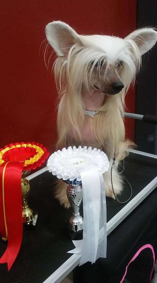 Mentos von Shinbashi