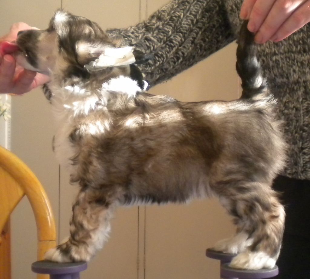 Liliah Prelude To A Kiss